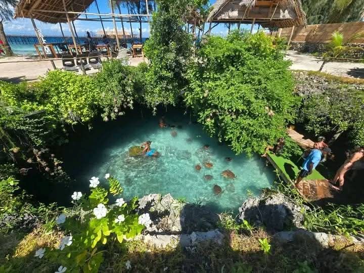 Nungwi Aquarium (Mnarani)