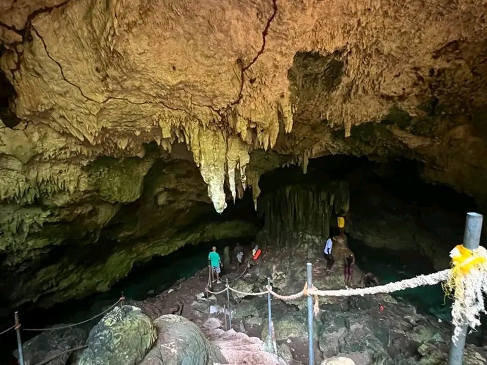Jozani Forest + Cave + The Rock Restaurant