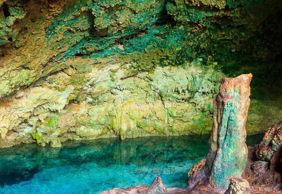 Jozani Forest + Salaam Cave + Mtende Beach