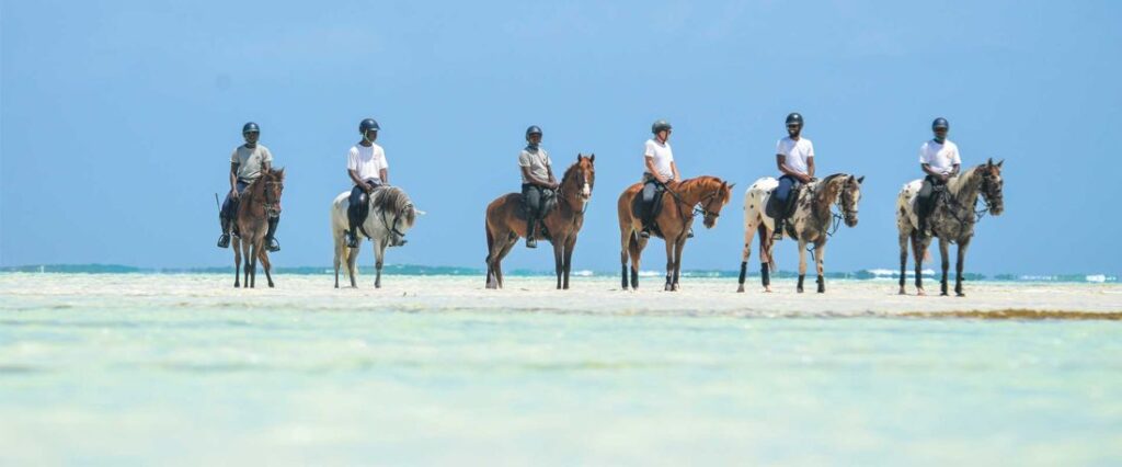 Horse Riding on the Beach