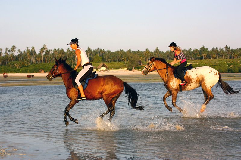 Horse Riding on the Beach