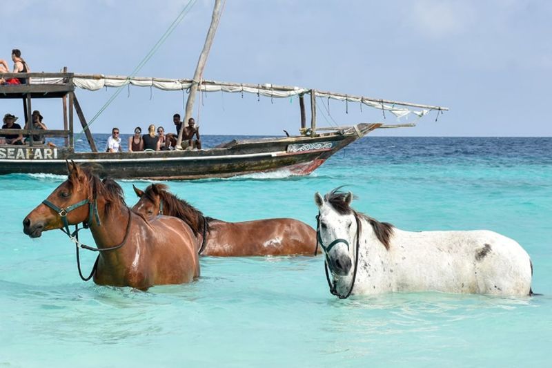 Horse Riding on the Beach