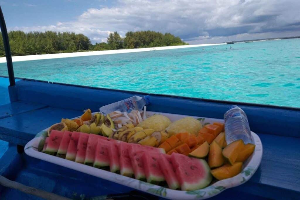 Mnemba Dolphin & Snorkeling Tour