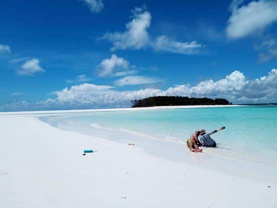 Mnemba Dolphin & Snorkeling Tour
