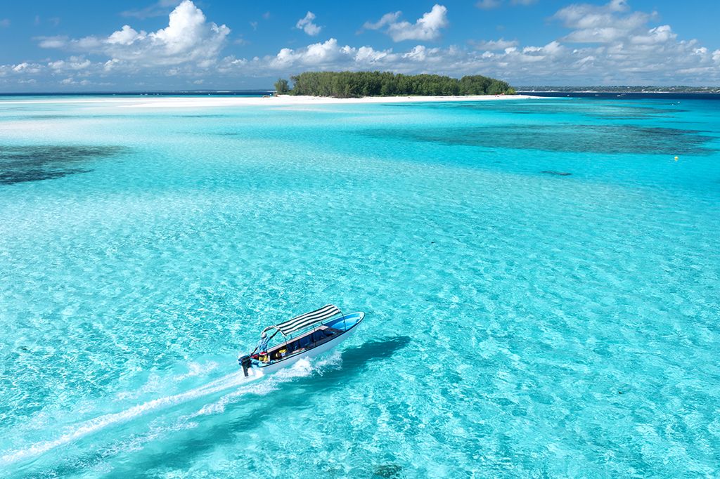 Mnemba Dolphin & Snorkeling Tour