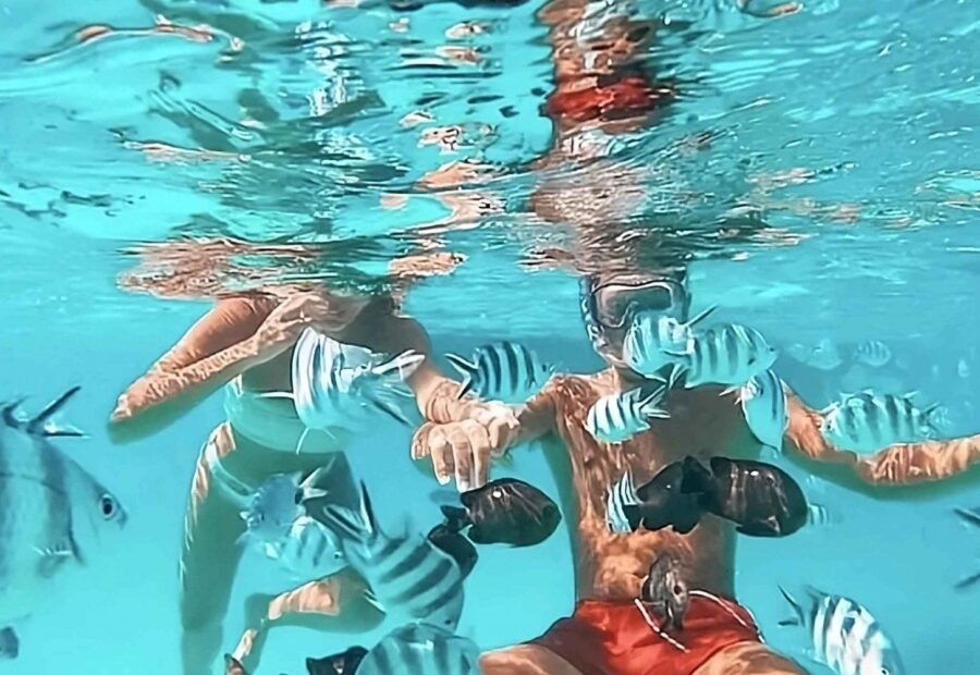 Mnemba Dolphin & Snorkeling Tour