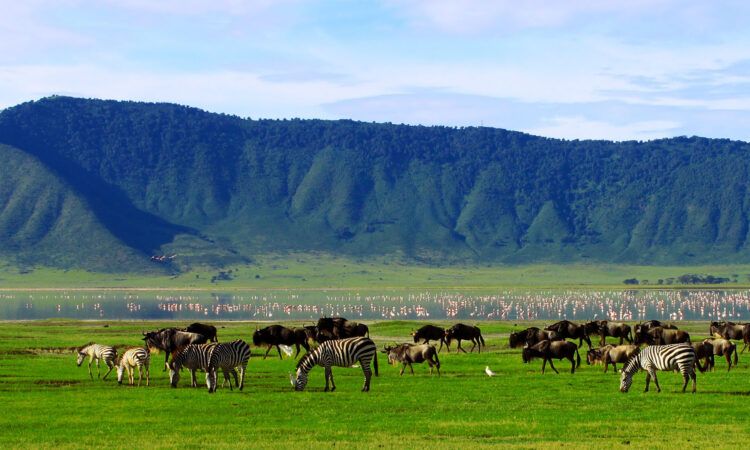 Ngorongoro Conservation Area