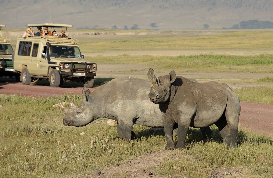 Ngorongoro Conservation Area