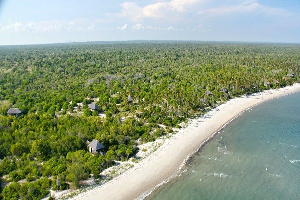 Saadani Day Trip Safari by Boat from Zanzibar