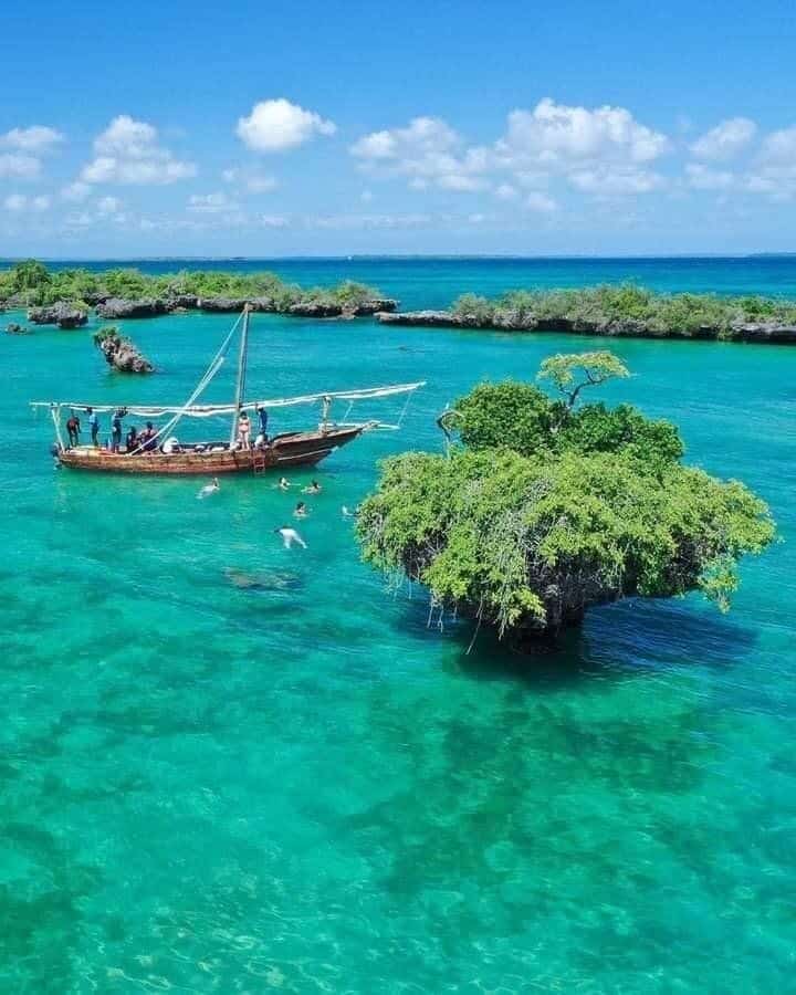 Safari Blue Zanzibar