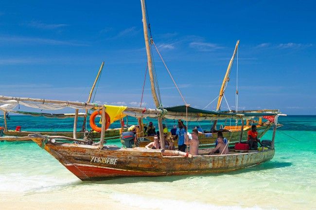 Safari Blue Zanzibar