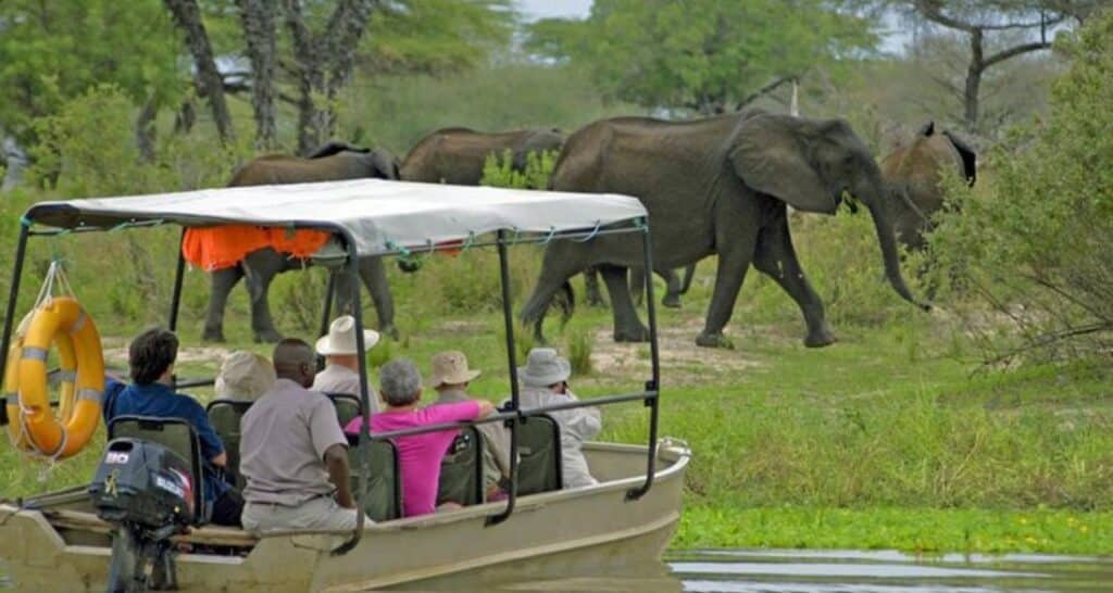 Selous (Nyerere) Day Trip Safari from Zanzibar