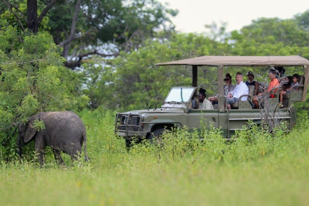 Selous (Nyerere) Day Trip Safari from Zanzibar