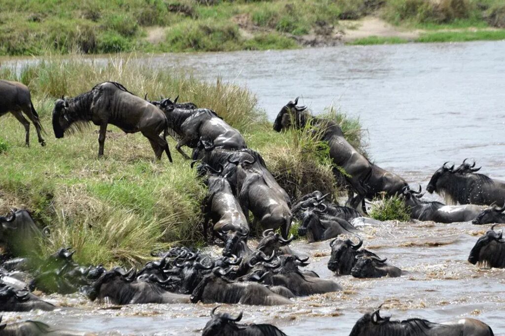 Serengeti National Park