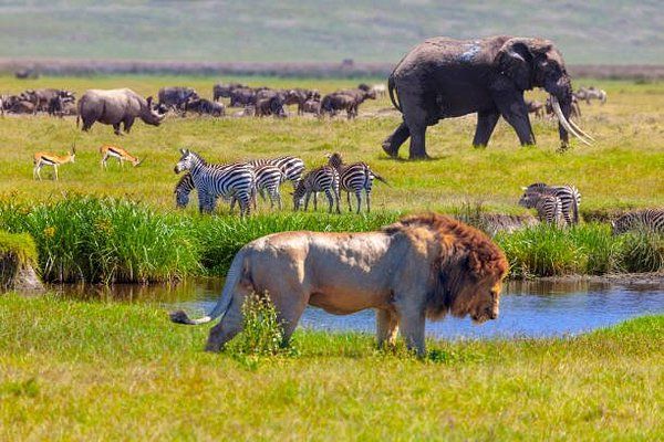 Serengeti National Park