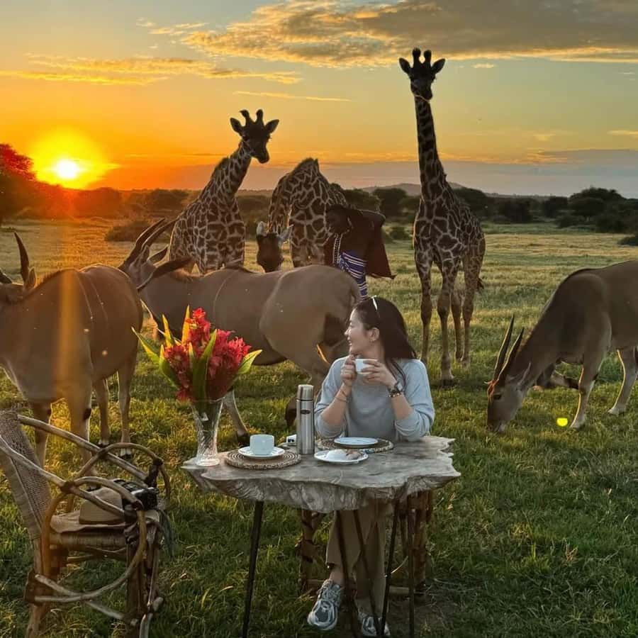 Serval Wildlife Sanctuary