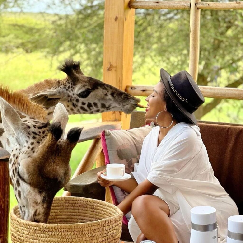 Serval Wildlife Sanctuary