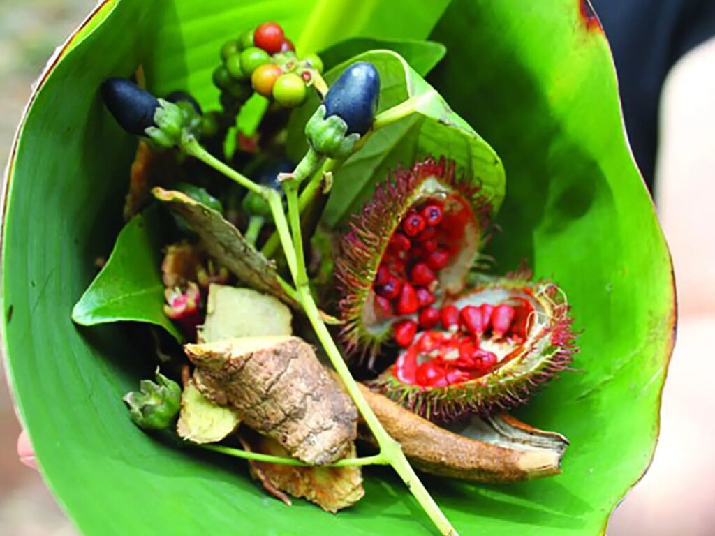 Spice Farms Tour
