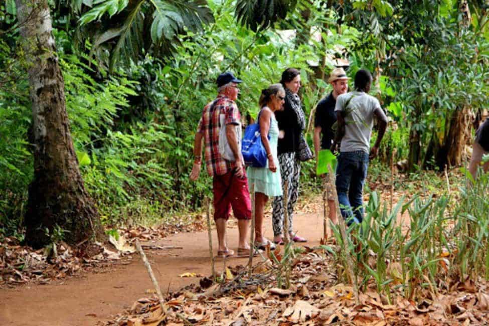 Spice Farm + Stone Town Tour