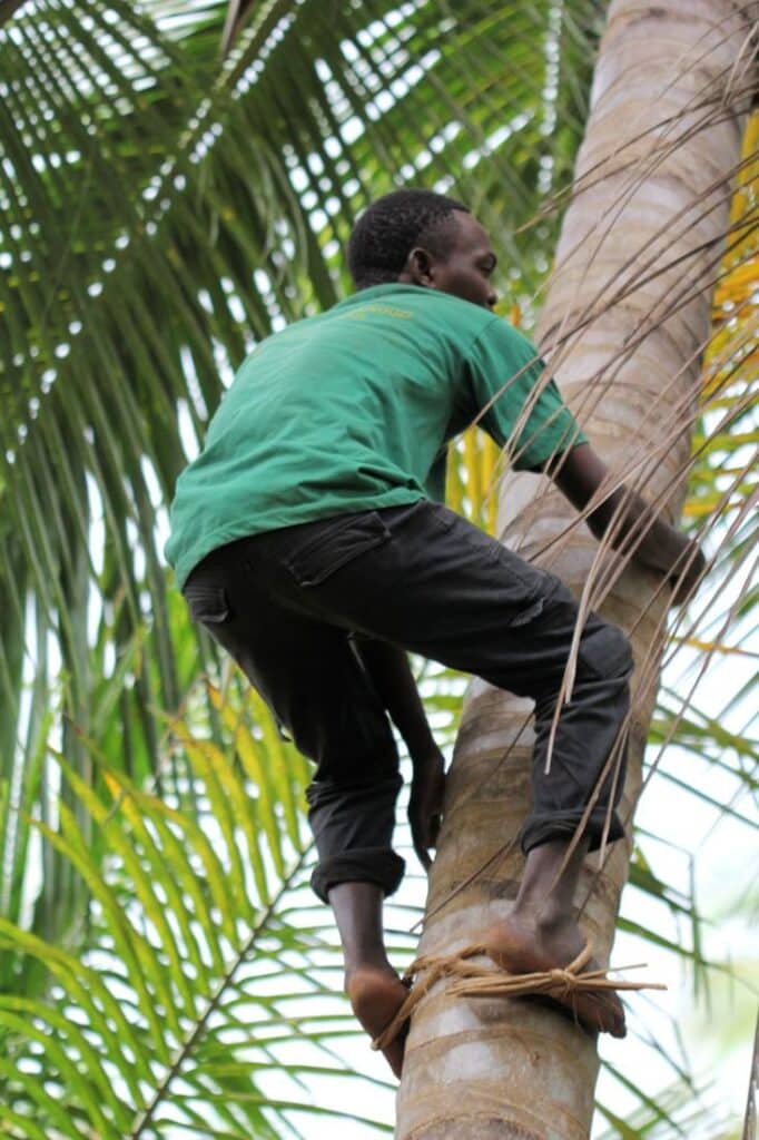 Spice Farm + Stone Town Tour
