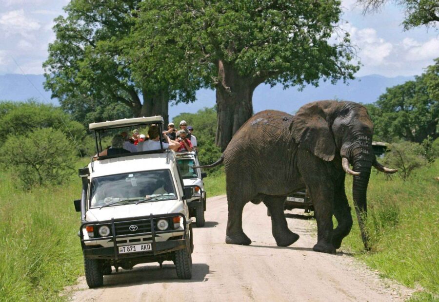 Tarangire National Park