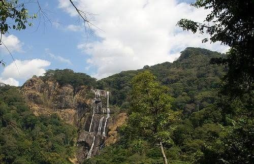 Udzungwa Mountains National Park & Waterfall