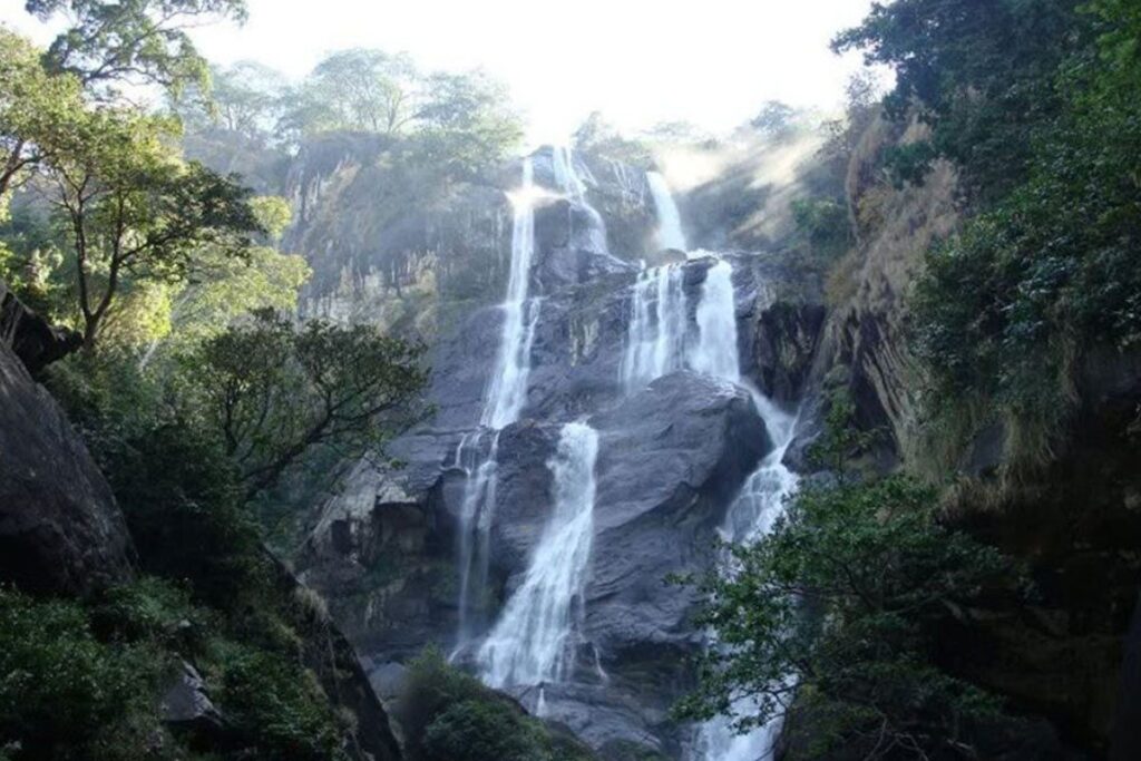 Udzungwa Mountains National Park & Waterfall
