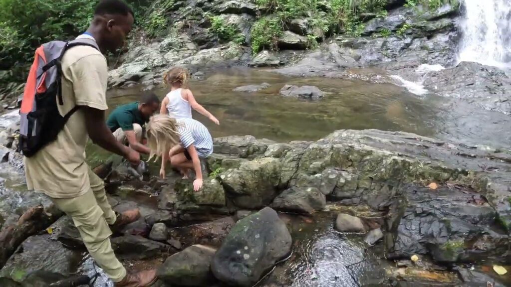 Udzungwa Mountains National Park & Waterfall